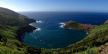 Birdwatching Holiday -  Azores