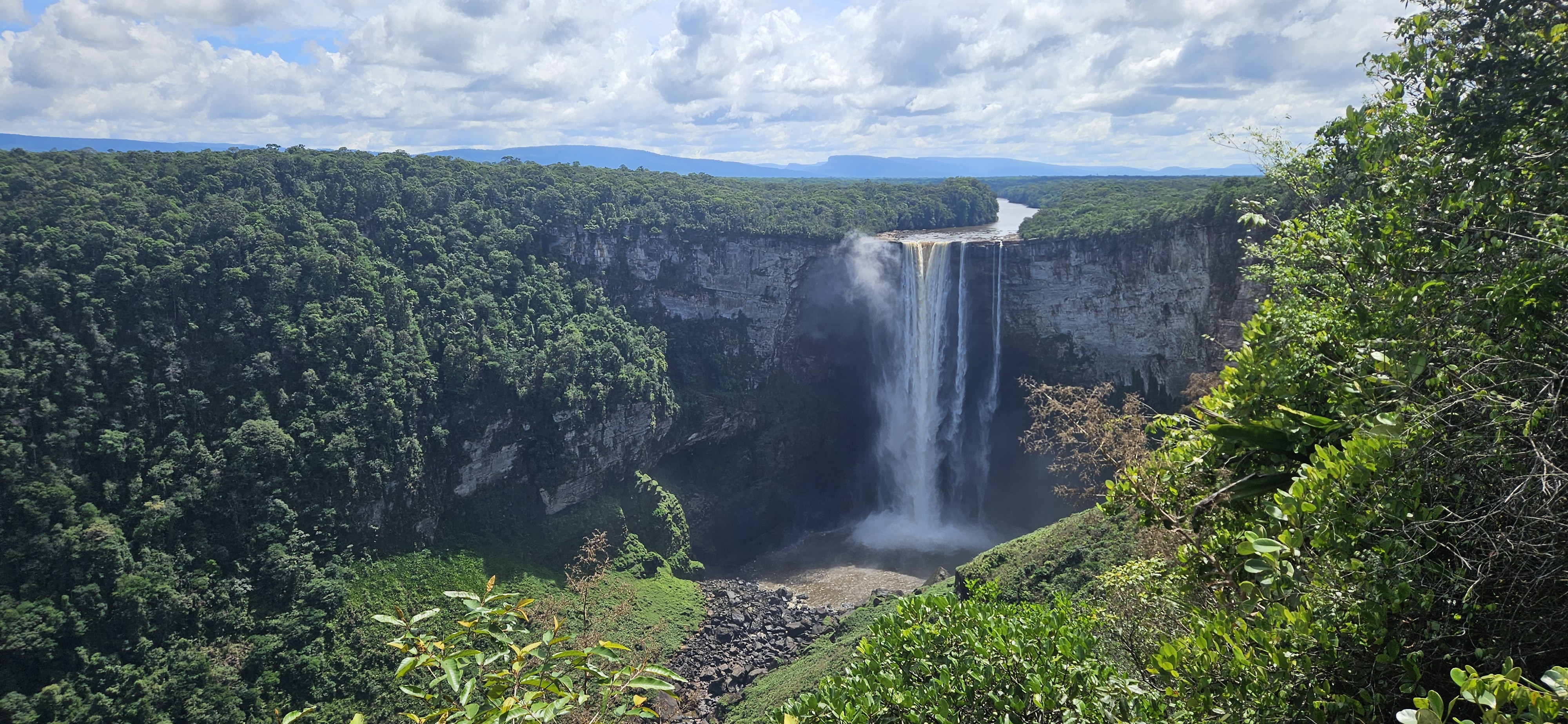 Birdwatching Holiday - NEW! Guyana