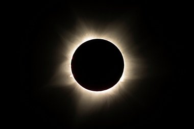 Birdwatching Holiday - NEW! Iceland - Birds, Volcanoes and a Solar Eclipse 