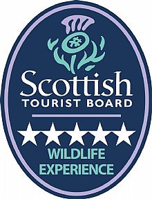 Visit Scotland - 5 star wildlife experience