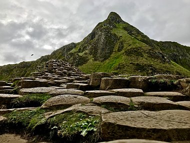 Birdwatching Holiday - Wild Northern Ireland
