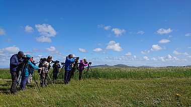 Birdwatching Holiday - Highlands and the Outer Hebrides
