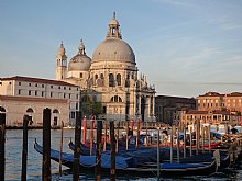 Birdwatching Holiday - Italy - Po Delta and Venice 