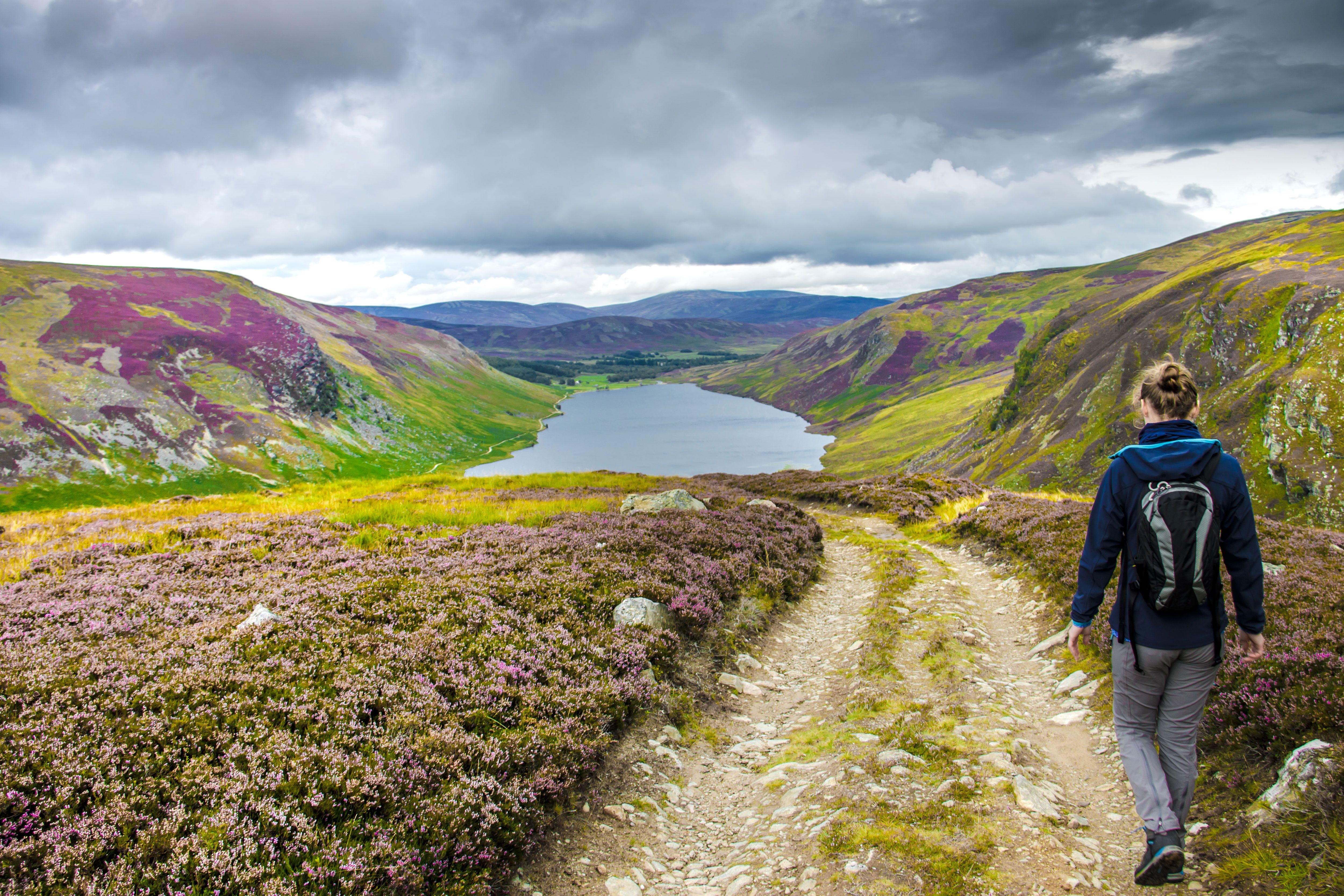 Birdwatching Holiday - NEW! Strathspey Walking and Wildlife